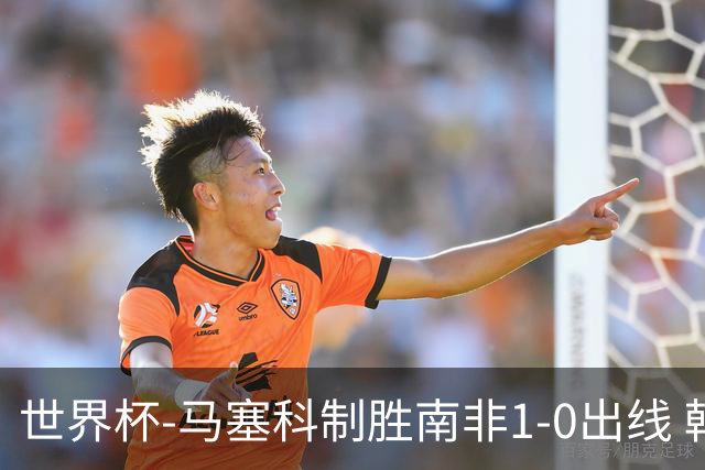 世界杯-马塞科制胜南非1-0出线 韩国积3分获小组第三待定