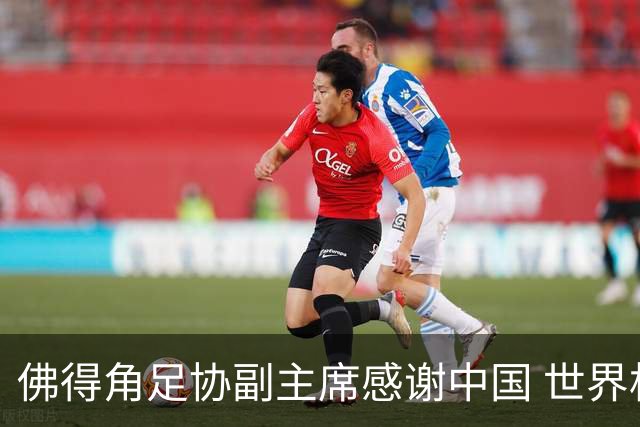佛得角足协副主席感谢中国 世界杯后将安排与国足友谊赛