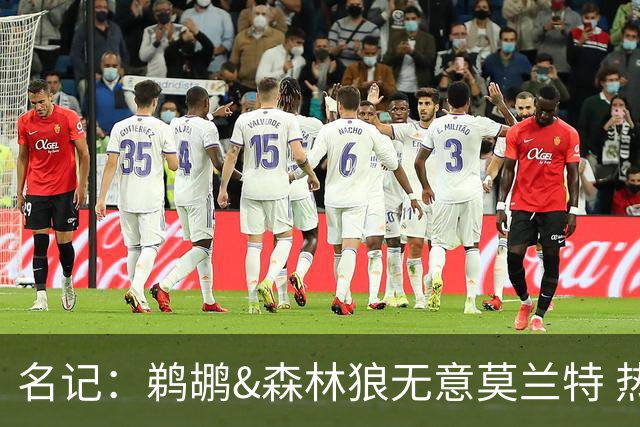 名记：鹈鹕&森林狼无意莫兰特 热火也不急于尝试其与字母哥的搭档